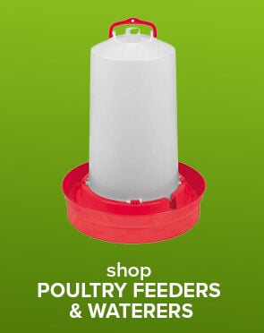 Shop Poultry Feeders & Waterers